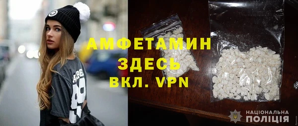 индика Нягань