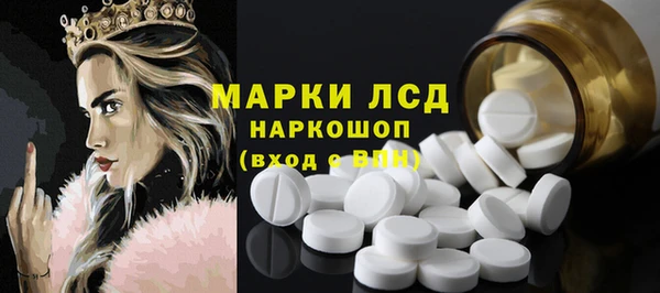 индика Нягань