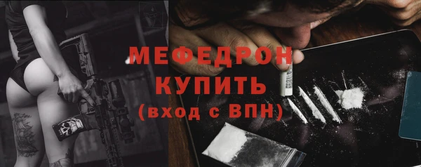 индика Нягань