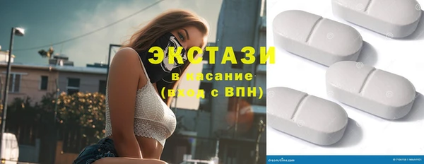 индика Нягань