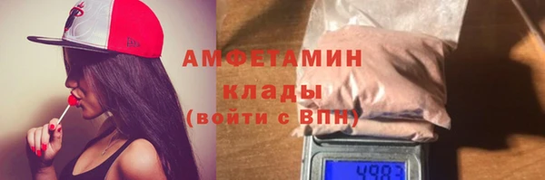 индика Нягань