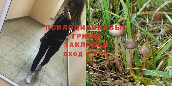 mdpv Няндома