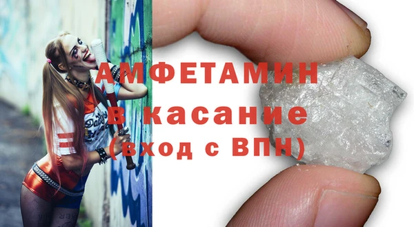 индика Нягань