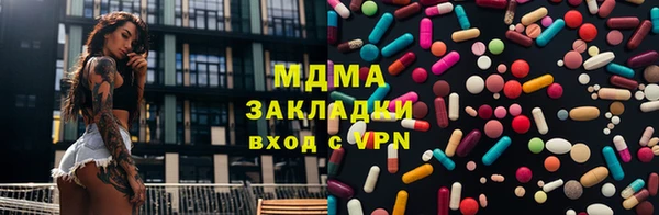 индика Нягань