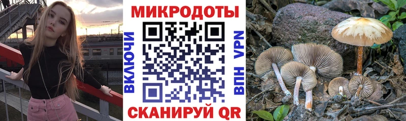 Псилоцибиновые грибы Cubensis  хочу наркоту  Разумное 